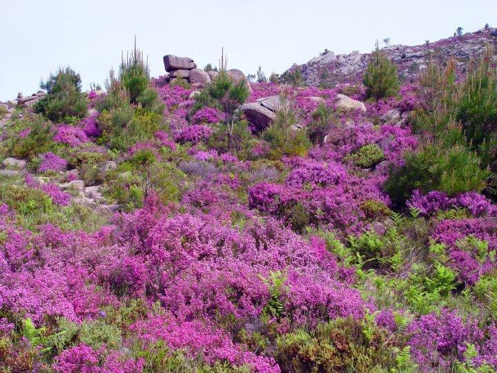 Pension As Termas Bubaces Exterior photo